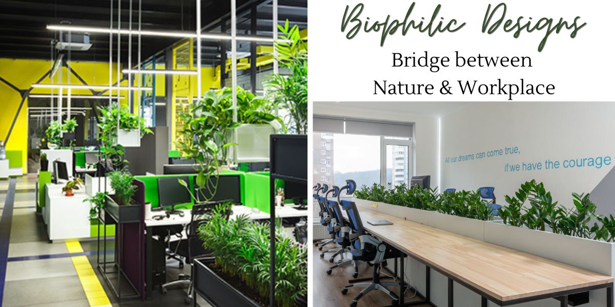 Biophilic Designs- Bridge between Nature and Workplace