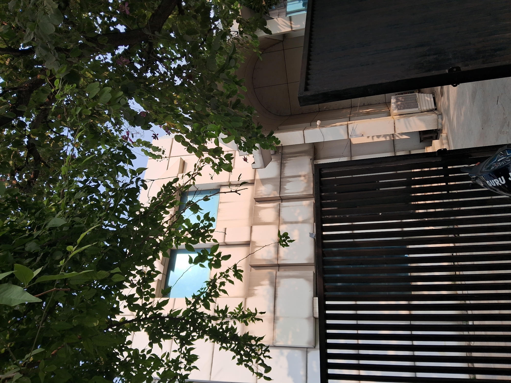 property-1