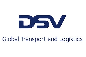 DSV Logo